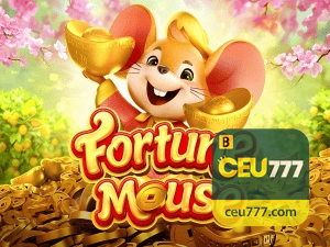 CEU777 login — configurações de segurança e proteção de conta